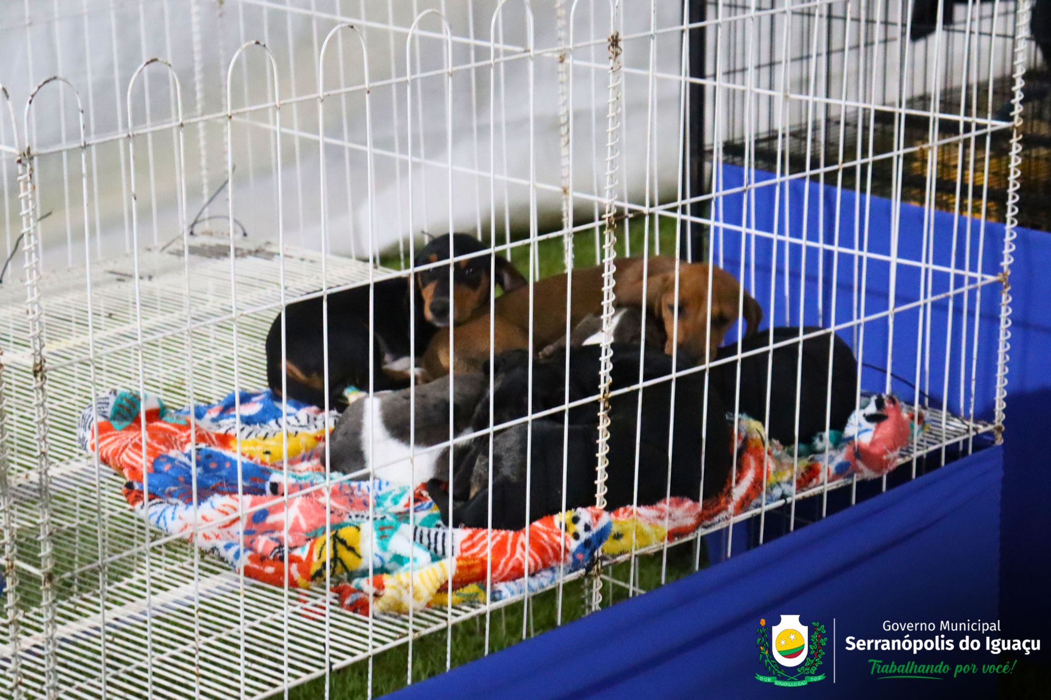 Expositores Expositores