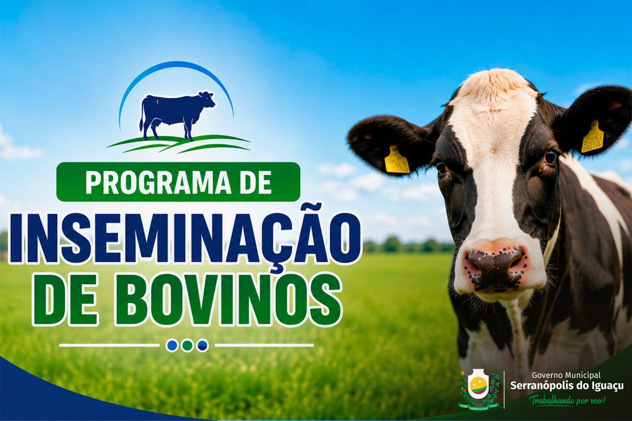 Programa de Inseminação de Bovinos oferece doses gratuitas a produtores rurais de Serranópolis do Iguaçu