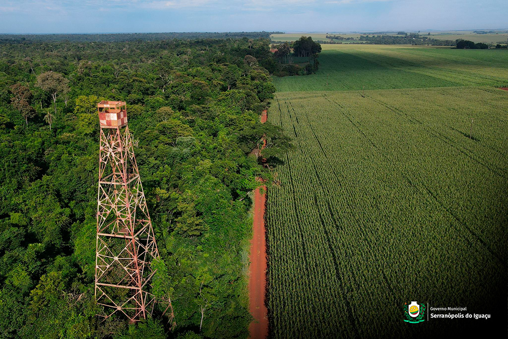 No Dia da Floresta Tropical, Governo Municipal reforça preservação e fortalecimento do Parque Nacional do Iguaçu