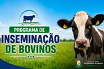 Programa de Inseminação de Bovinos oferece doses gratuitas a produtores rurais de Serranópolis do Iguaçu