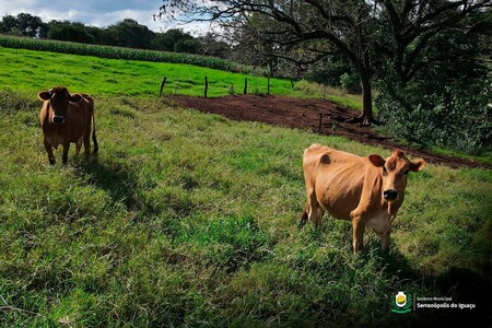 Produtores rurais tem até dia 31 para realizar a devolução das notas fiscais