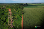 No Dia da Floresta Tropical, Governo Municipal reforça preservação e fortalecimento do Parque Nacional do Iguaçu