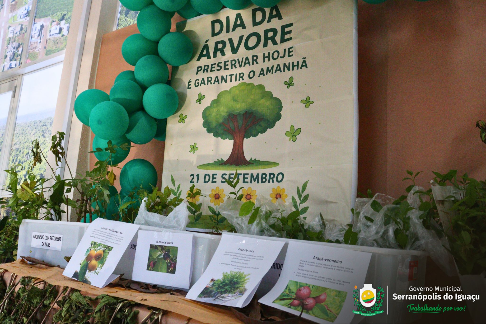 Dia da Árvore é marcado com distribuição gratuita de mudas em Serranópolis do Iguaçu Dia da Árvore é marcado com distribuição gratuita de mudas em Serranópolis do Iguaçu
