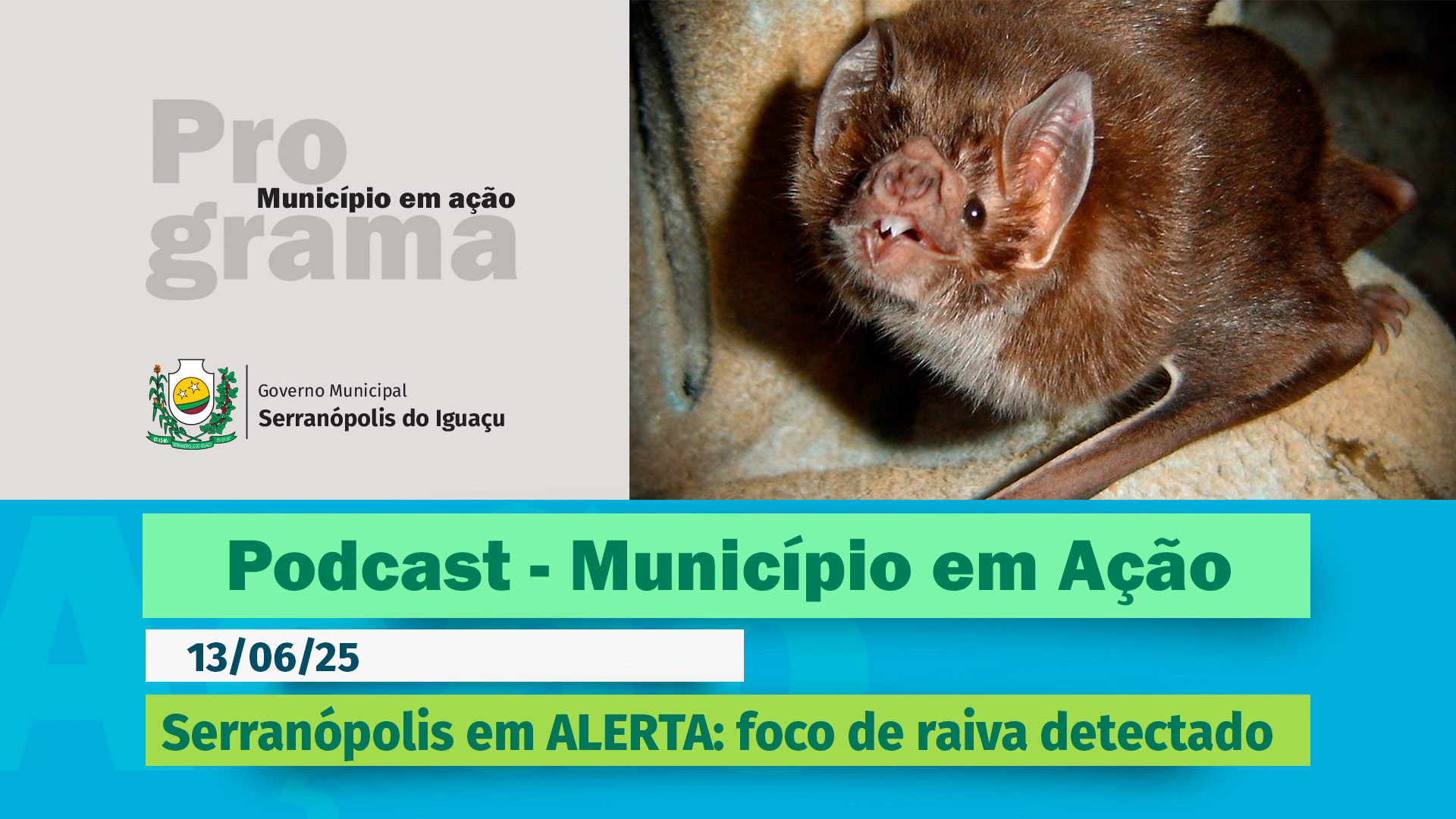 #Podcast – Serranópolis do Iguaçu entra em alerta com foco de raiva –(13/06/2025)