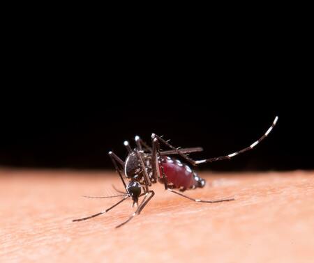Governo Municipal alerta sobre a dengue em Serranópolis do Iguaçu Governo Municipal alerta sobre a dengue em Serranópolis do Iguaçu