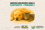 Governo Municipal orienta munícipes sobre inscrições para o programa Castra + Paraná 2