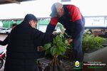 Governo Municipal incentiva arborização rural com entrega gratuita de mudas à população