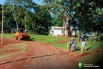 Secretaria de Agricultura e Meio Ambiente realiza plantio de árvores